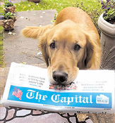 dog delivering "The Capital" newspaper